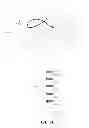 Fig. 08 - Methods for facilitating text entry