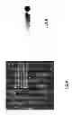 Fig. 07 - P and N region differentiation for image-to-CAD alignment