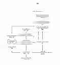 Fig. 01 - Runtime State Based Code Re-Optimization