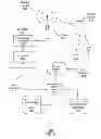 Fig. 06 - Method and apparatus for delivery of application services