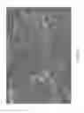 Fig. 41 - Methods for ingress mitigation in cable communication systems involving repair, replacement and/or adjustment of infrastructure elements