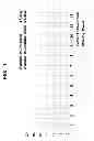 Fig. 02 - Method of managing the standby mode of a broadcast receiving device by external signaling