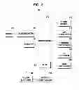 Fig. 04 - Method of managing the standby mode of a broadcast receiving device by external signaling