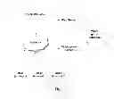 Fig. 02 - Method and system for authentication-based multi-user online video game