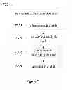 Fig. 07 - Method and apparatus for data security reading