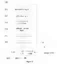 Fig. 08 - Method and apparatus for data security reading