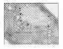 Fig. 01 - Methods of treating disorders associated with protein aggregation