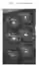 Fig. 03 - 'B Thome Gala'