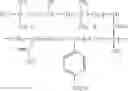 Fig. 12 - Use and application of defined zwitterionic copolymer