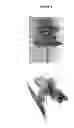 Fig. 04 - LIQUID FUSE SOLUTIONS AND METHODS OF USE THEREOF