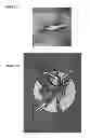 Fig. 05 - LIQUID FUSE SOLUTIONS AND METHODS OF USE THEREOF