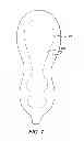 Fig. 08 - SOFT SHELL BOOTS AND WATERPROOF/BREATHABLE MOISTURE TRANSFER COMPOSITES AND LINER FOR IN-LINE SKATES, ICE-SKATES, HOCKEY SKATES, SNOWBOARD BOOTS, APLPINE BOOTS, HIKING BOOTS AND THE LIKE