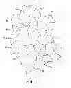 Fig. 02 - Irregular tessellated building units