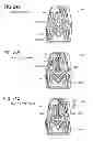 Fig. 31 - Case for impact detector, impact detector, and package