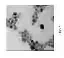 Fig. 09 - Continuous reactor and method for manufacturing nanoparticles