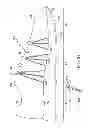Fig. 18 - Stitching Machine