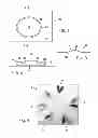 Fig. 02 - Freeze indicator employing light scattering and method of making same