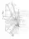 Fig. 02 - In-cylinder pressure detecting device of direct injection type internal combustion engine