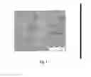 Fig. 04 - Method of dissolving natural polymers