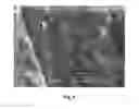 Fig. 05 - Method of dissolving natural polymers