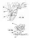 Fig. 06 - SUBSTANTIALLY CONCEALED IRRIGATION SYSTEM