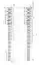 Fig. 07 - Direct to container system with on-line weight control and associated method