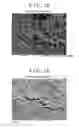 Fig. 07 - Surface treatment method for metal material and mold treated by surface treatment method