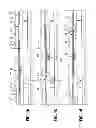 Fig. 03 - Sliding sleeve valve and method for fluid treating a subterranean formation