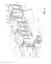 Fig. 05 - Movable type ladder device for work vehicle