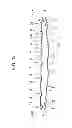 Fig. 46 - Shock absorber