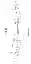 Fig. 49 - Shock absorber