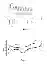 Fig. 03 - Process for growing metal particles by electroplating with in situ inhibition