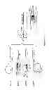 Fig. 07 - Multi-layer water-splitting devices