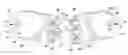 Fig. 01 - Advanced condiment dispensing device