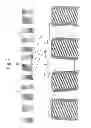 Fig. 03 - Filtration membrane