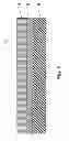 Fig. 03 - Multi-layer rotationally molded low permeation vessels and method for manufacture thereof