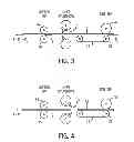 Fig. 03 - Cut sheet length control in a corrugator dry end