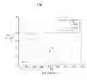 Fig. 04 - Object detection apparatus and method for vehicle using a reference wavelength value extracted from a plurality of calculated correction wavelength values and outputting pixel data having value larger than the reference wavelength value