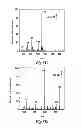 Fig. 09 - METHOD AND SYSTEM FOR SIMULTANEOUSLY FINDING AND MEASURING MULTIPLE ANALYTES FROM COMPLEX SAMPLES