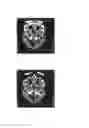 Fig. 04 - Radiation protection device