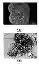 Fig. 03 - Luminophores and core-shell luminophore precursors