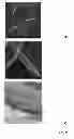 Fig. 03 - GRAPHENE NANORIBBON COMPOSITES AND METHODS OF MAKING THE SAME