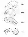 Fig. 02 - Roll claw