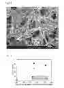 Fig. 04 - Electrode composite and photoelectric element equipped therewith