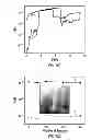 Fig. 16 - INVISIBLE/TRANSPARENT NONVOLATILE MEMORY