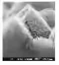 Fig. 01 - Light emitting device