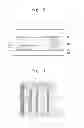 Fig. 03 - Light emitting diode and light emitting diode package