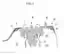 Fig. 03 - Strut mounting reinforcement unit of vehicle
