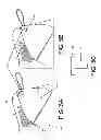Fig. 09 - Strap system for electronic device