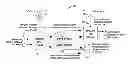Fig. 01 - Methods and systems for exchanging information between aircraft